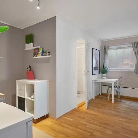 Sjarmerende Og Sentral Hybel Med Egen Inngang