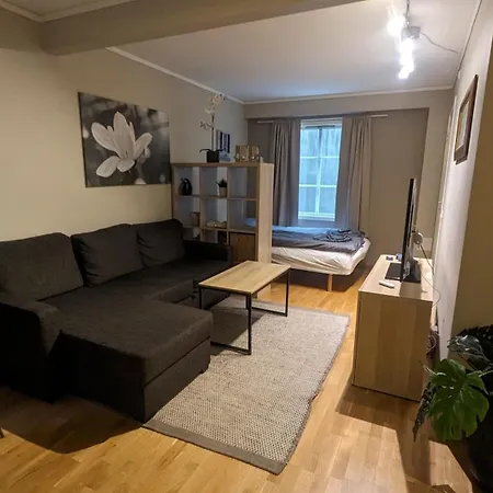 Sjarmerende Og Sentral Hybel Med Egen Inngang Apartament *