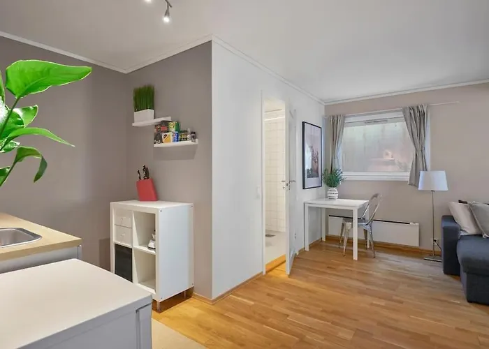 Sjarmerende Og Sentral Hybel Med Egen Inngang