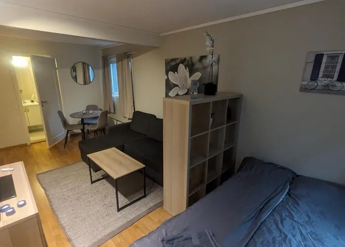 Sjarmerende Og Sentral Hybel Med Egen Inngang 公寓 奥斯陆