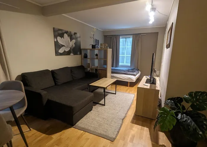 Sjarmerende Og Sentral Hybel Med Egen Inngang דירה *